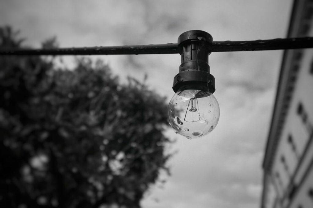 Фото: Pixabay