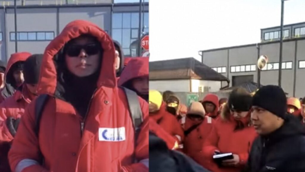 Фото: ТК Басе