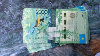 Выплаты из фонда соцстрахования получили более 46 тысяч казахстанцев