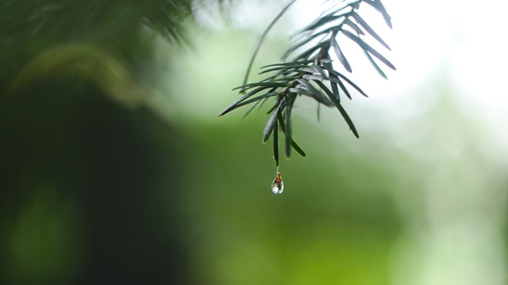 Фото: Unsplash/Ed Leszczynskl