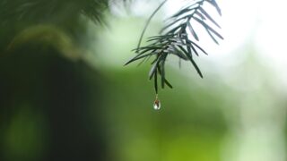 «Казгидромет» объявил штормовое предупреждение в 13 регионах на 1 мая