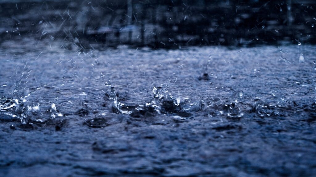Фото: Pixabay