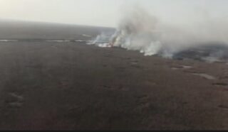 Горящие заросли камыша в Атырауской область продолжают тушить четвертые сутки