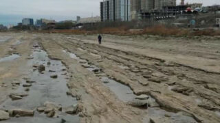 Казахстанский блогер показал печальные кадры обмелевшего Каспия