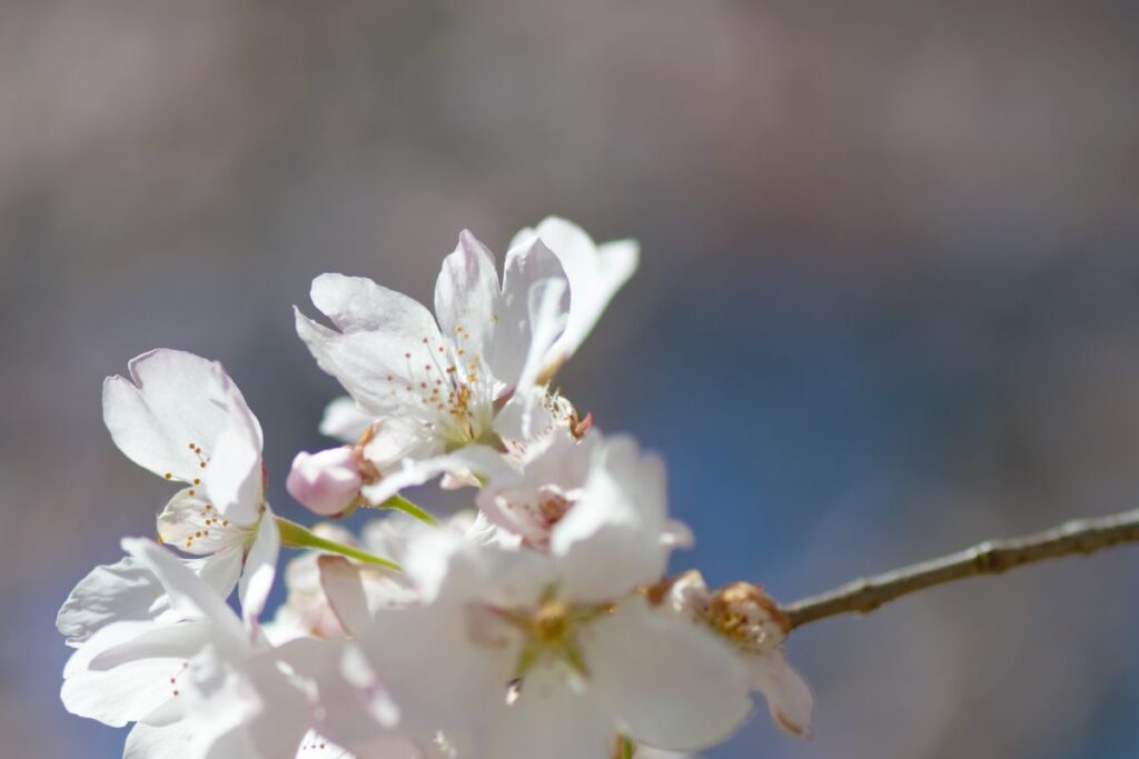 Фото: unsplash.com.