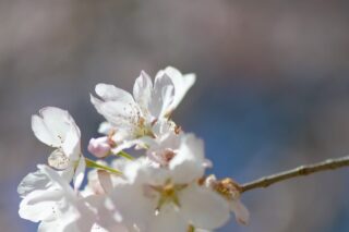 «Казгидромет»: ждите в апреле изменчивой погоды и постепенное повышение температуры воздуха