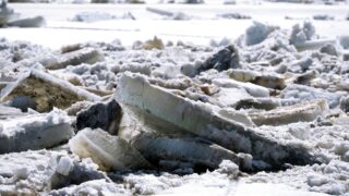 Ледовые заторы ликвидируют в Акмолинской области