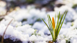 На севере Казахстана 15 апреля ожидается сильный снегопад, на юге Казахстана — дождь