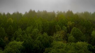 На вторник в 10 областях Казахстана объявили штормовое предупреждение