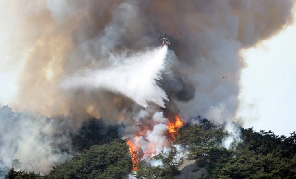 Фото: AFP PHOTO