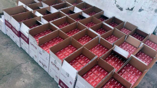 Пограничники Жамбылской области пресекли ввоз контрабандных 20 тыс. пачек сигарет из Кыргызстана