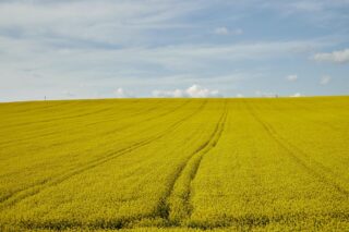 Правительство Казахстана гарантировало топливо аграриям на весенне-полевые работы