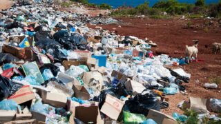 Прокуроры в Кокшетау помогли жителям уменьшить стоимость услуг по сбору и транспортировке ТБО