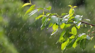 Штормовое предупреждение объявлено в восьми регионах Казахстана