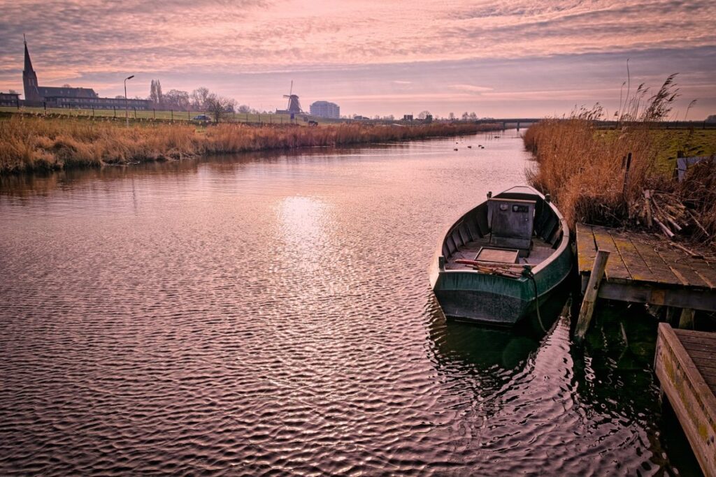Фото: Pixabay