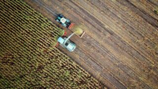 В Атырауской области привлекут 800 мигрантов к посевным работам