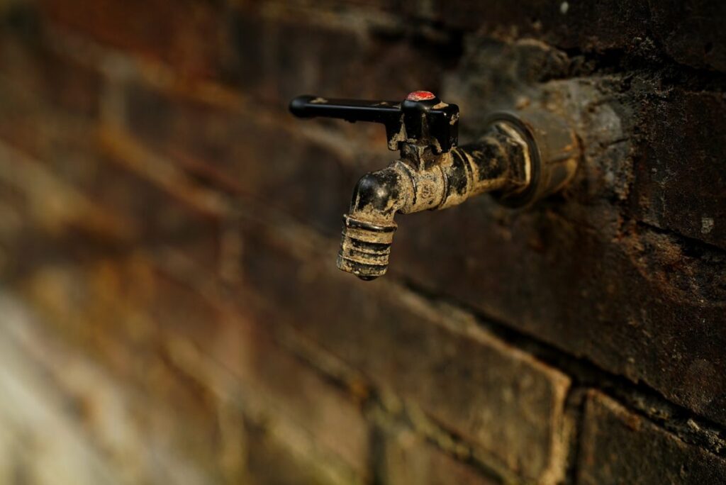 Фото: Pixabay