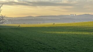 В Казахстане фермерам будет легче получить субсидии из-за отмены агрохимических картограмм