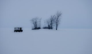 Опасность джута в Казахстане: министр сделал заявление
