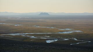 В Казахстане в госсобственность вернули почти 900 гектаров неиспользуемой земли