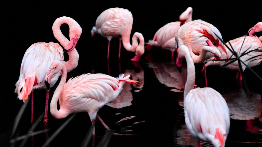 Фото: Pixabay