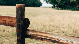 В РК запретили выделять земельные участки для ИЖС без ПДП и генеральных планов