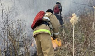 В Уральске произошел природный пожар в районе «Перевалочной рощи»