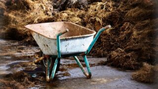 В Жетысуской области фермер обвинил замакима в краже навоза