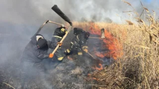 Власти обещают ликвидировать пожар в течение двух дней в Атырауской области