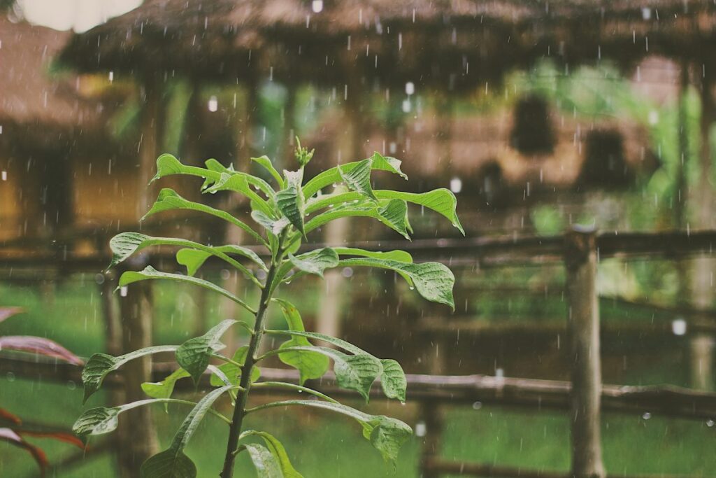 Фото: Unsplash
