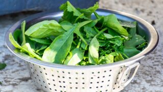 Берегите свой мозг: зелень и другие продукты с антиоксидантами защищают от дегенерации в старости