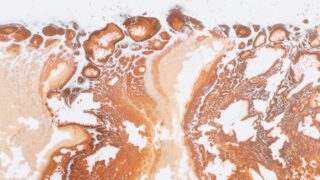 Цены на медь упали после публикации макроэкономической статистики из Китая