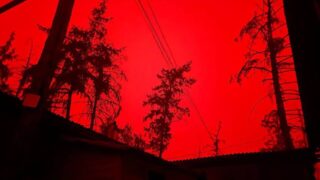 ДЧС выявил 9 потенциально опасных термоточек в ВКО