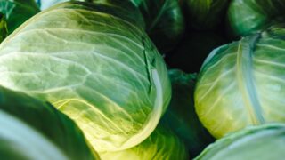Для поддержки местных фермеров Казахстан отказался от закупа узбекской капусты