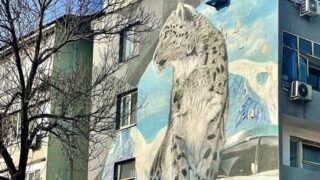 Досаев высказался о муралах в Алматы