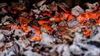 Генсек ООН призвал к полному отказу стран G7 от использования угля в энергетике