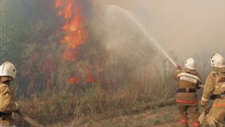 Из-за пожара в лесу области Абай возникла угроза для санатория и деревни «Березовка»