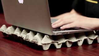 Нелегальные перепелиные яйца из Китая уничтожили в Казахстане