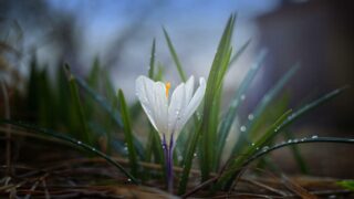 Какие регионы Казахстана объявили штормовое предупреждение из-за ветра, тумана и грозы