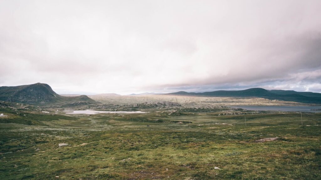 Фото: Unsplash