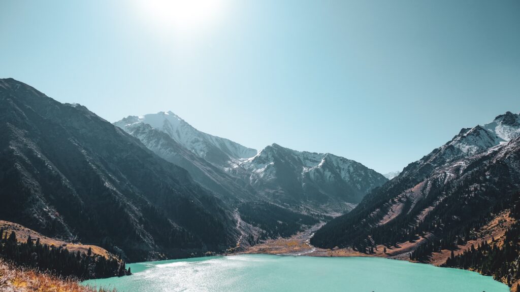 Фото: Unsplash