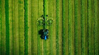 Минсельхоз РФ предложило создать платформу для обмена данными в ЕАЭС