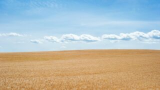 Недоработки ЕГИСС мешают фермерам получать субсидии