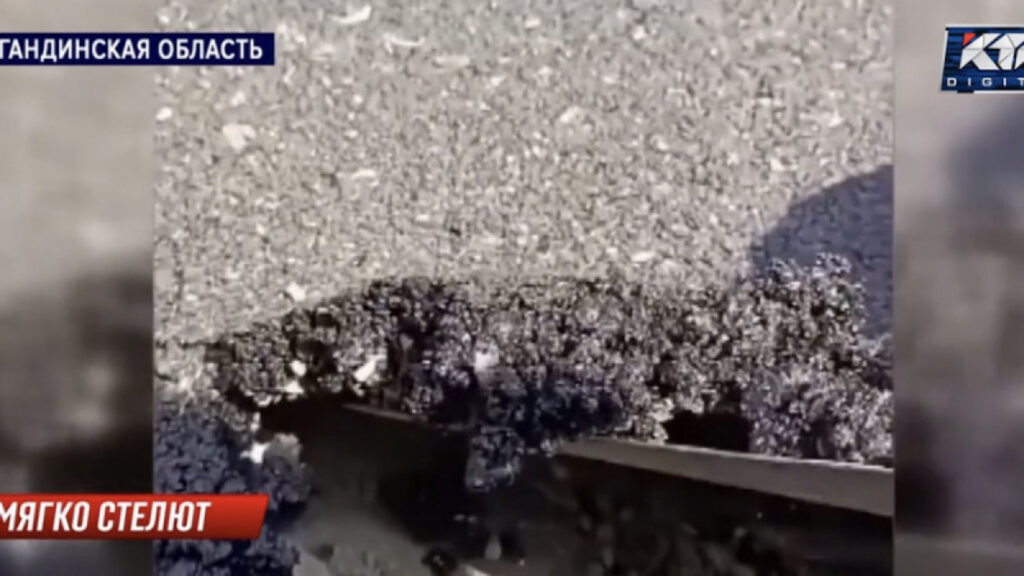 Фото: кадр из видео