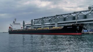 ООН: Удобрения в рамках черноморской зерновой инициативы пока не экспортировались