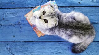 Отбасы банк закрыл прием заявок на ипотечные займы для женщин «Умай» из-за лимита выдачи