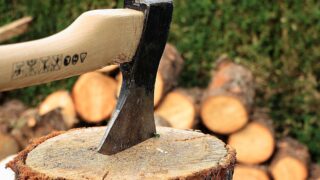 Подрядчикам в Актобе грозит тюремный срок за вырубку здоровых деревьев