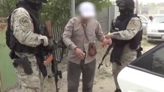 Полиция в Жетысу задержала подозреваемого в наркоторговле и изъяла 108 кустов марихуаны