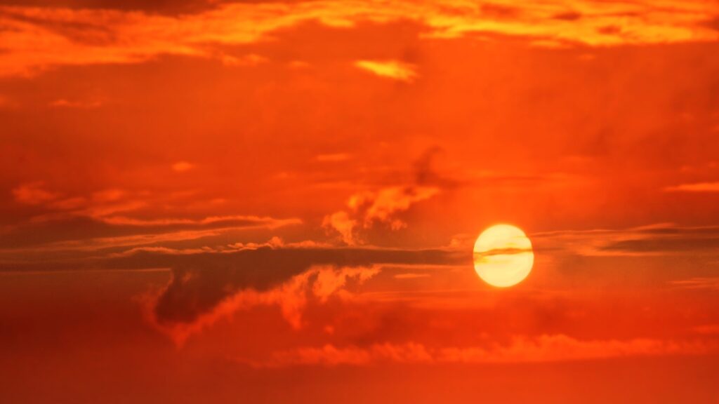 Фото: Pixabay