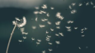 Прогноз погоды по регионам Казахстана на 17 мая: дождь, грозы и сильный ветер